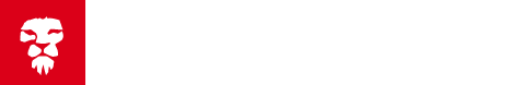 Logo LIONHEAD®